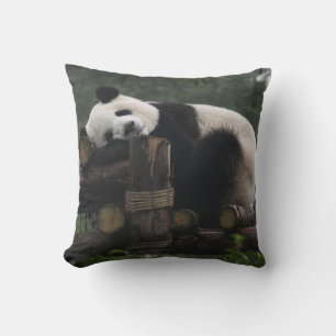 Giant pandas at the Giant Panda Protection Cushion