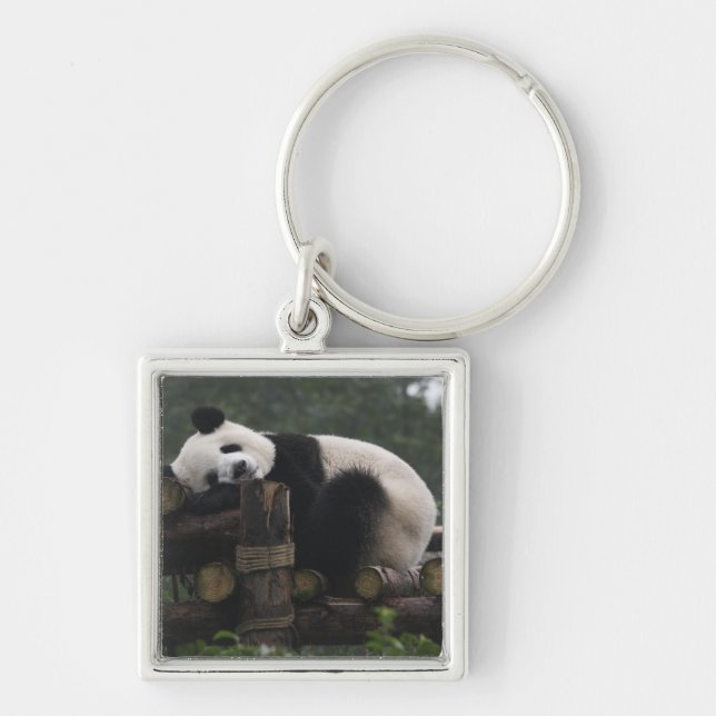 Giant pandas at the Giant Panda Protection Key Ring (Front)
