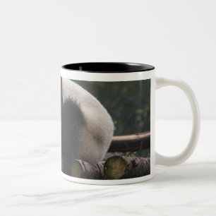 Giant pandas at the Giant Panda Protection Two-Tone Coffee Mug