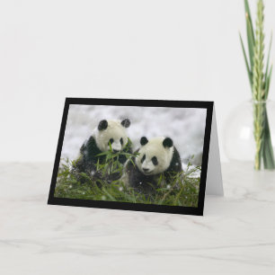 Giant Pandas Holiday Card