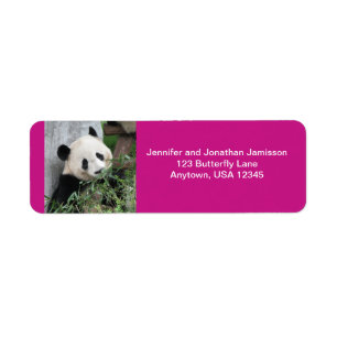 Giant Pandas Return Address Labels, Hot Pink Label