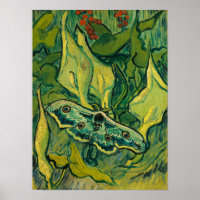 Giant Peacock Moth, 1889 by Vincent van Gogh