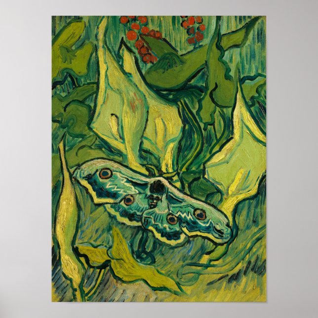 Giant Peacock Moth, 1889 by Vincent van Gogh Poster (Front)