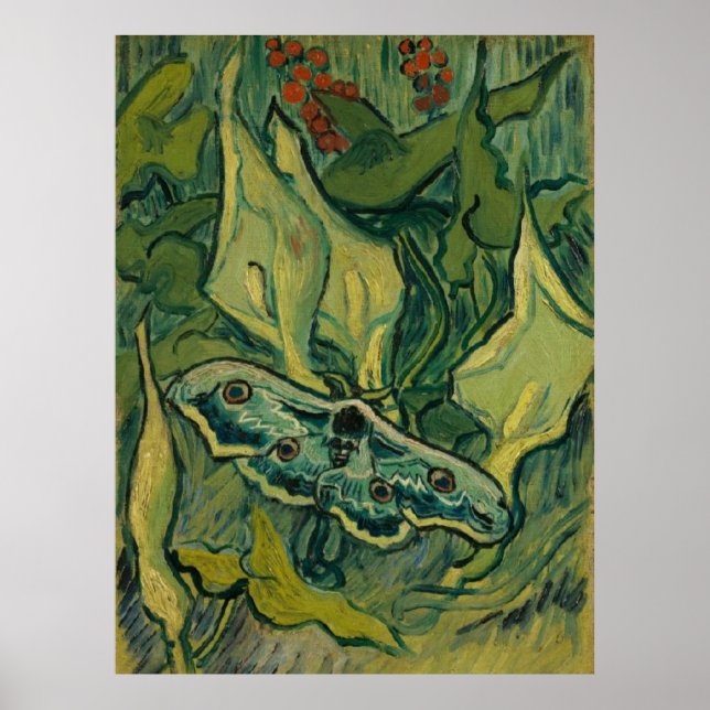 Giant Peacock Moth Vincent van Gogh 1889 Poster (Front)