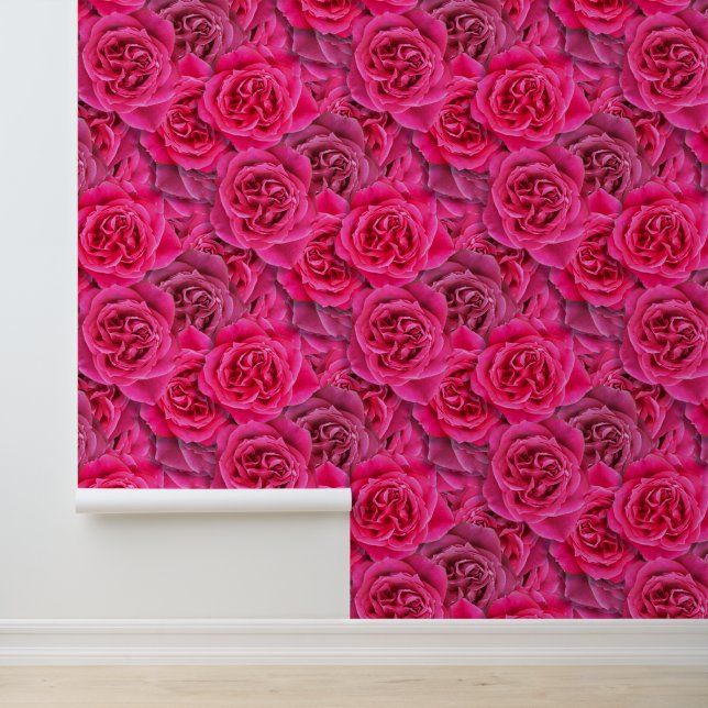  Giant Pink Roses Elegant Romantic Pretty Seamless Wallpaper (Application)