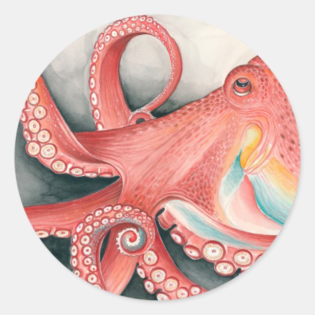 Giant Red Pacific Octopus Watercolor Art Classic Round Sticker (Front)