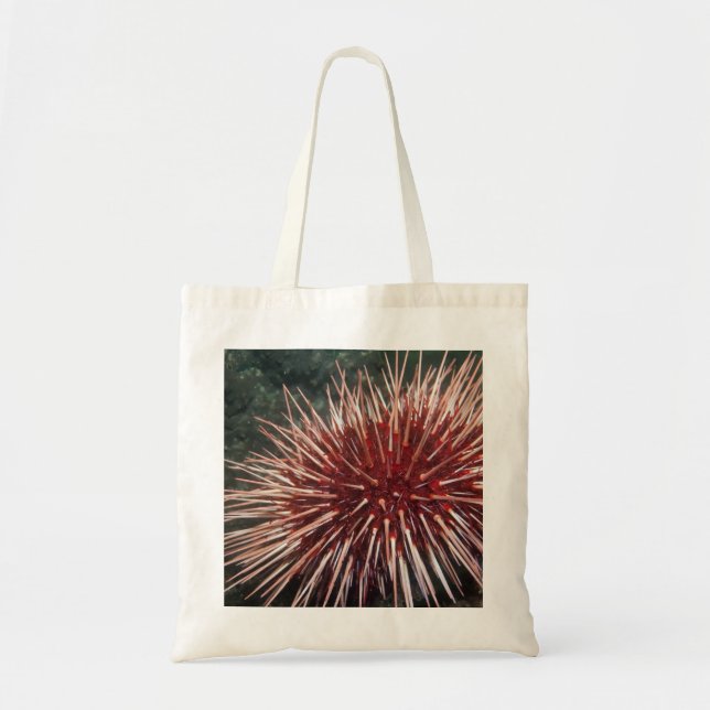 Giant Red Sea Urchin - Bag (Front)