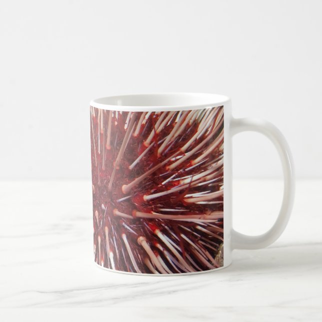 Giant Red Sea Urchin - Mug (Right)