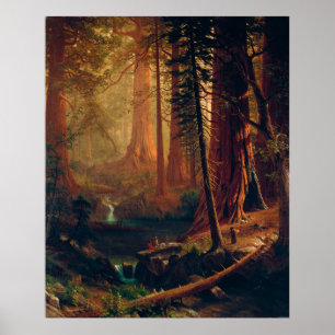 Giant Redwood Trees of California by A. Bierstadt Poster