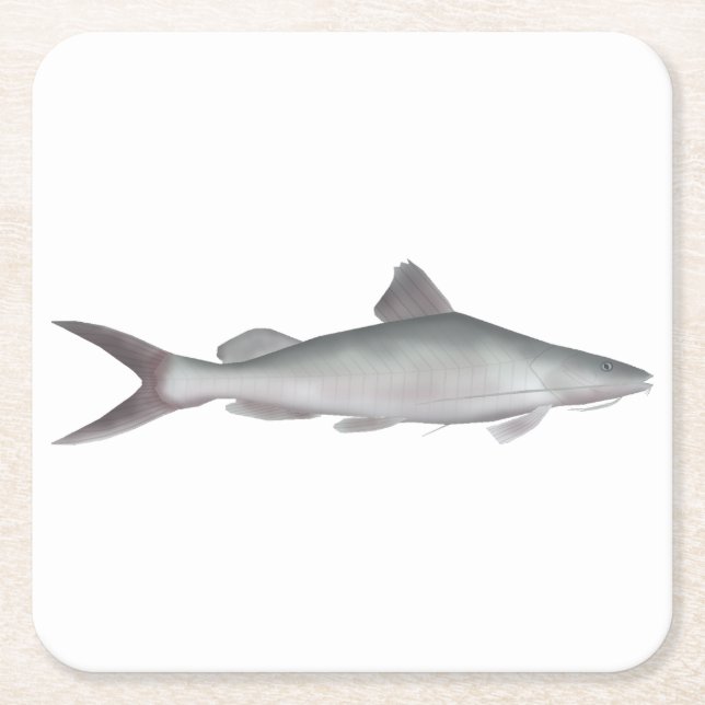 Giant River-catfish Square Paper Coaster (Front)