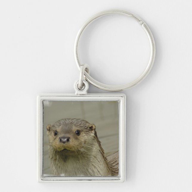Giant River Otter Keychain (Front)