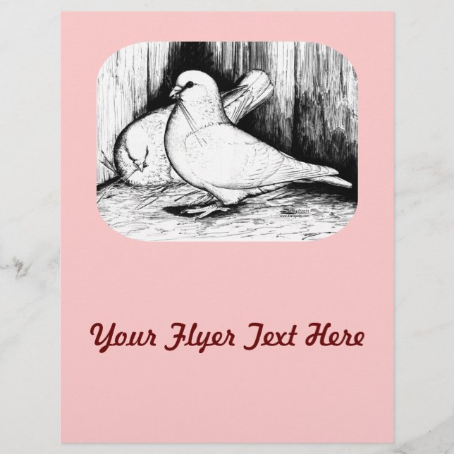 Giant Runt Pigeons Flyer (Front)