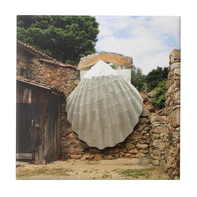 Giant scallop shell, El Camino Tile (Front)