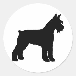 Giant Schnauzer (black) Classic Round Sticker