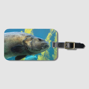 Giant Sea Bass Luggage Tag