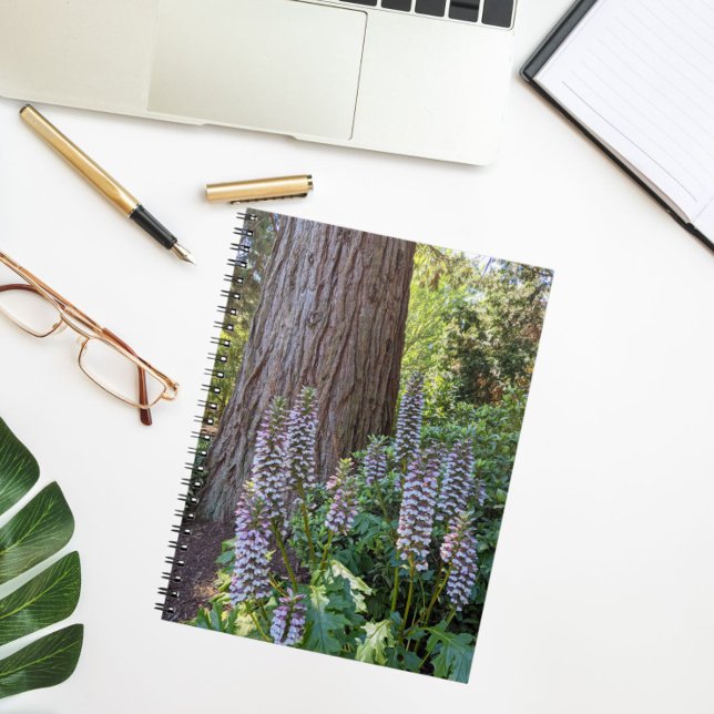 Giant Sequoia and Acanthus Floral Notebook (In Situ)