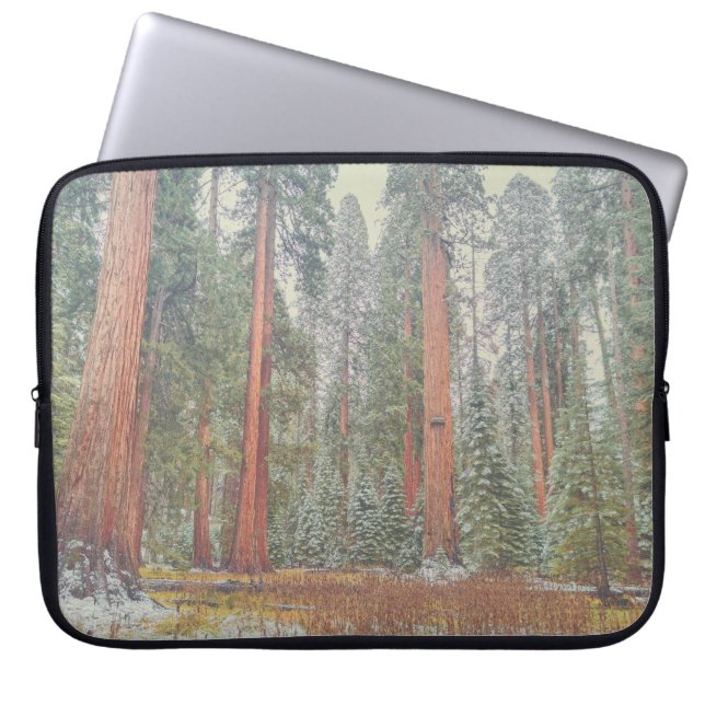 Giant Sequoia Forest Landscape Laptop Sleeve (Front)