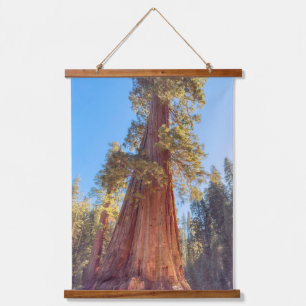 Giant Sequoia  Hanging Tapestry
