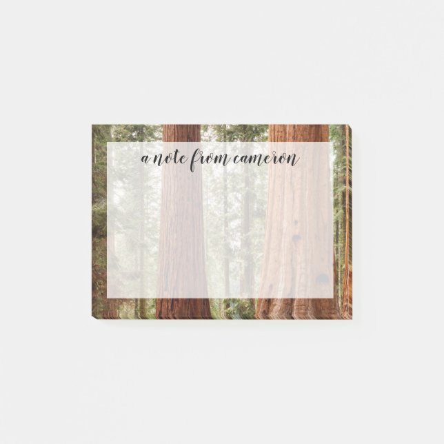 Giant Sequoia Panorama Post-it Notes (Front)
