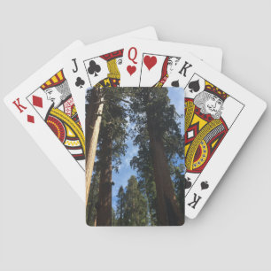 Giant Sequoia  Playing Cards