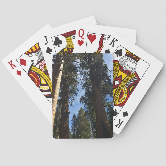 Giant Sequoia  Playing Cards (Back)