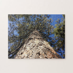 Giant Sequoia Reaching to Blue Sky Seen from below Jigsaw Puzzle