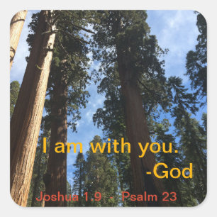 Giant Sequoia Sky View Square Sticker