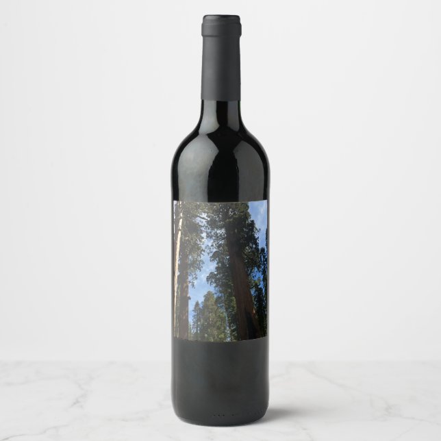Giant Sequoia Sky View Wine Label (Front)