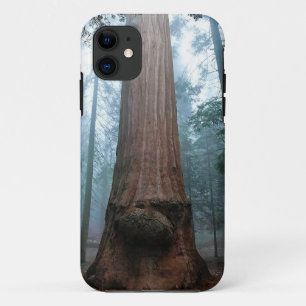 Giant Sequoia Tree in Grant Grove, CA iPhone 11 Case