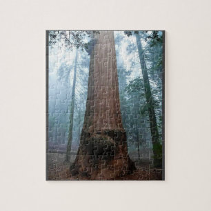 Giant Sequoia Tree in Grant Grove, CA Jigsaw Puzzle