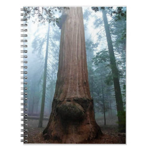 Giant Sequoia Tree in Grant Grove, CA Notebook