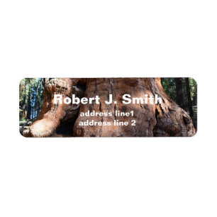 Giant sequoia tree trunk  personal address labels. return address label