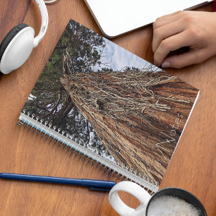 Giant Sequoia Tree Trunk Photo Notebook