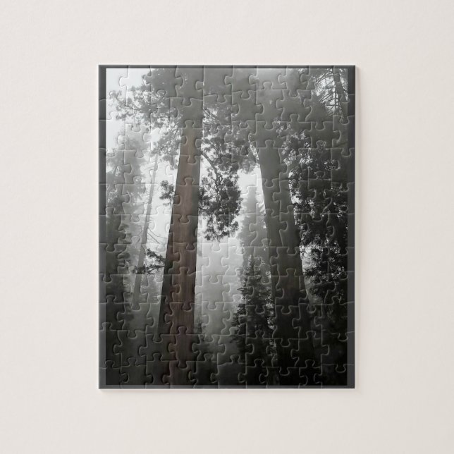 Giant Sequoia Trees in the Fog, CA Jigsaw Puzzle (Vertical)