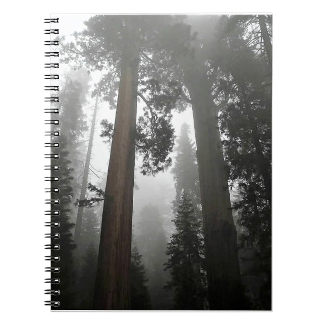 Giant Sequoia Trees in the Fog, CA Notebook (Front)