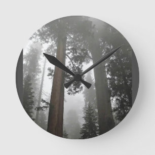 Giant Sequoia Trees in the Fog, CA Round Clock