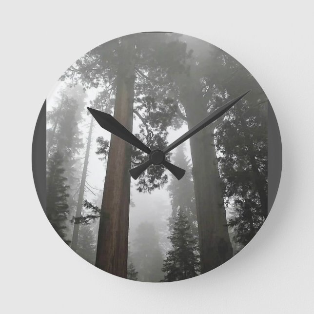 Giant Sequoia Trees in the Fog, CA Round Clock (Front)