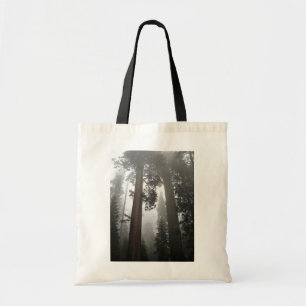 Giant Sequoia Trees in the Fog, CA Tote Bag