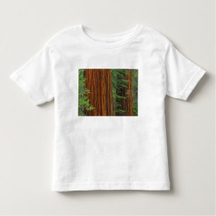 Giant Sequoia trunks in forest, Yosemite Toddler T-Shirt