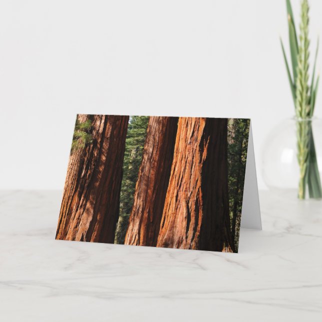 Giant Sequoias Card (Front)