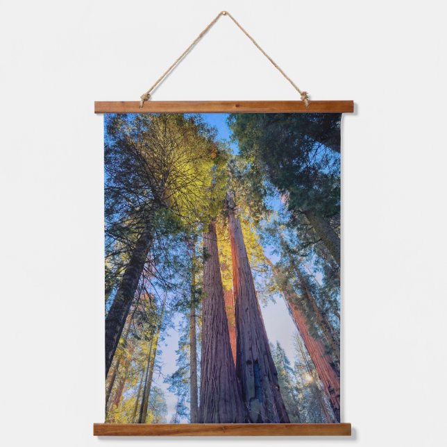 Giant Sequoias Hanging Tapestry (Front)