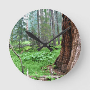 Giant Sequoias in Grant Grove, CA Round Clock