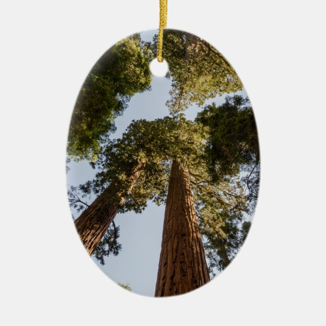 Giant Sequoias in Sequoia National Park Ceramic Ornament (Front)