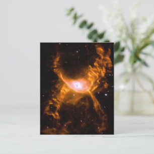 Giant Spider Nebula Spider Lovers Gift