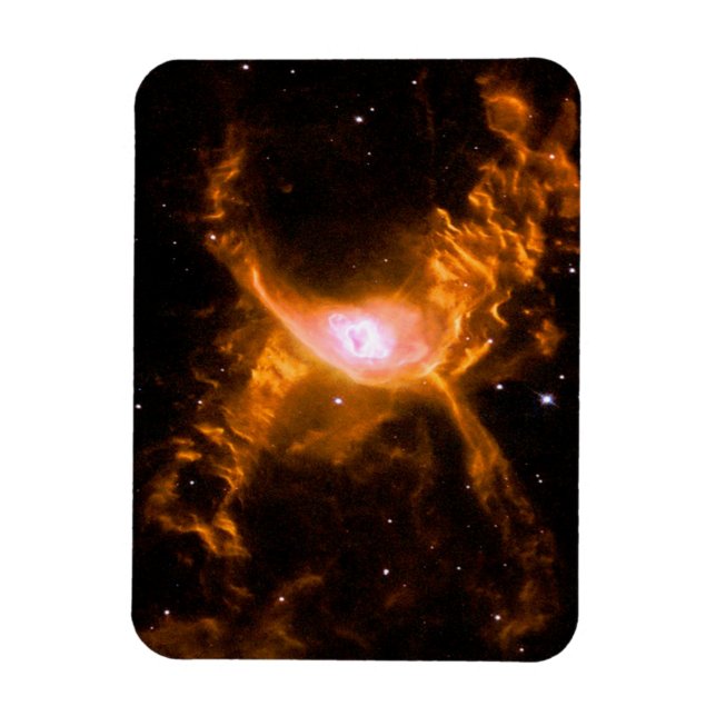 Giant Spider Nebula | Spider Lovers Gift Magnet (Vertical)