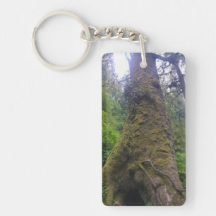 Giant Spruce Tree, Cape Perpetua, Oregon Key Ring