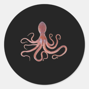 Giant Squid From The Ocean For Animal Lovers Classic Round Sticker