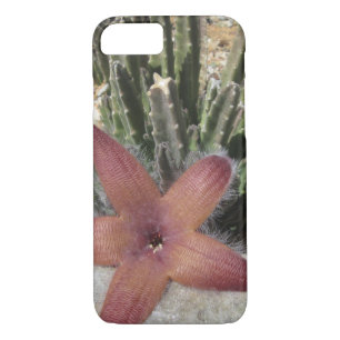 Giant Starfish Cactus iPhone 8/7 Case