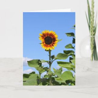 Giant Sunflower - Happy Greeting Card