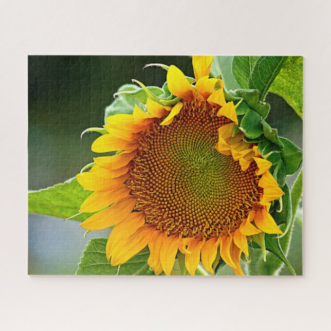 Giant Sunflower Jigsaw Puzzle (Horizontal)